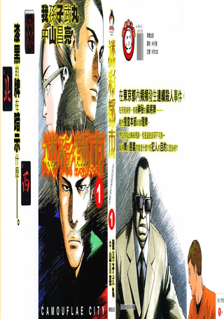 迷彩都市