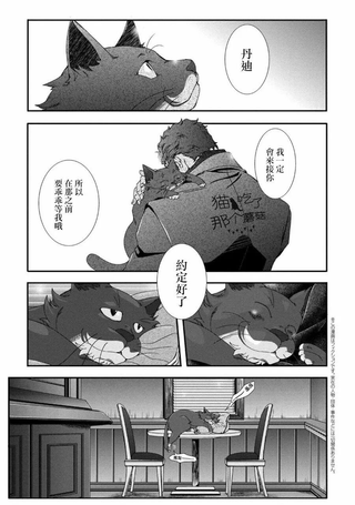 酒与泪和男人还有猫咪