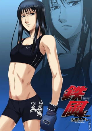 铁风