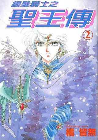 银发骑士之圣王传