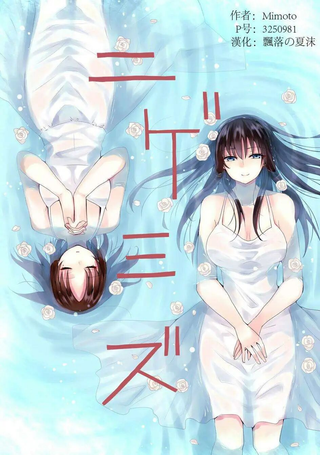 镜花水月.