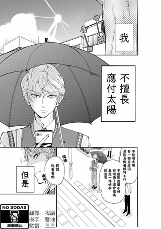 阳光下的相合伞