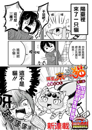 阳台里来了一蜘猫