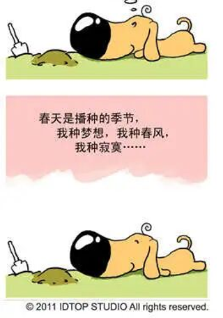 雅皮狗的心情日记