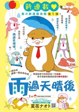 雨过天晴后