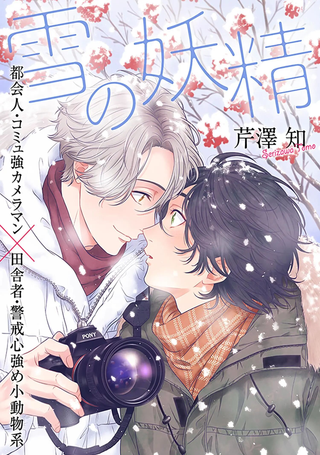 雪之妖精