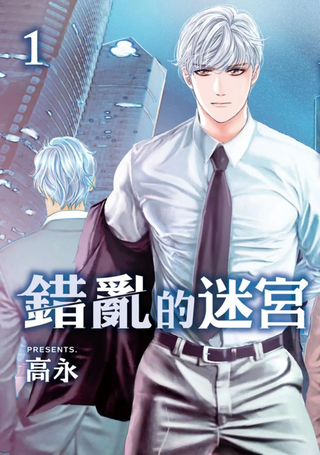错乱的迷宫