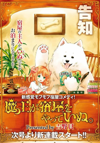 魔汪在开招待所
