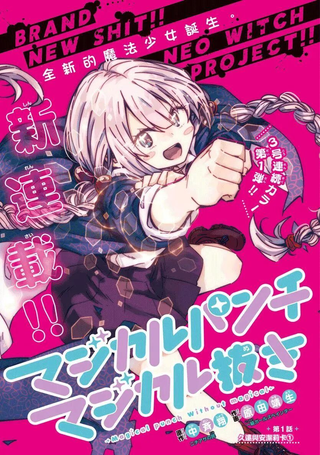 魔法少女崩帝拳