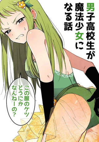 魔法少女男子高校生