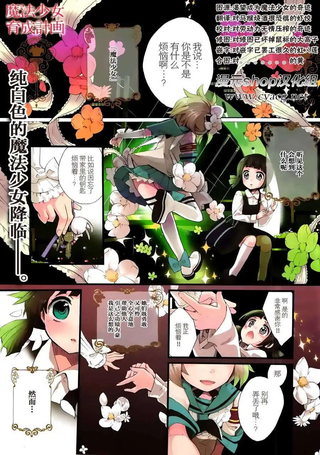 魔法少女育成计划