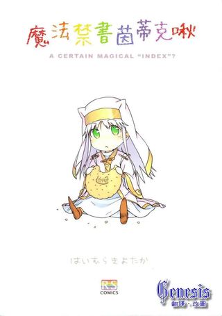 魔法禁书茵蒂克啾