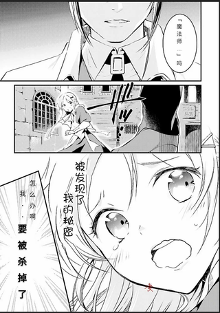 魔药师爱着二弟子的理由