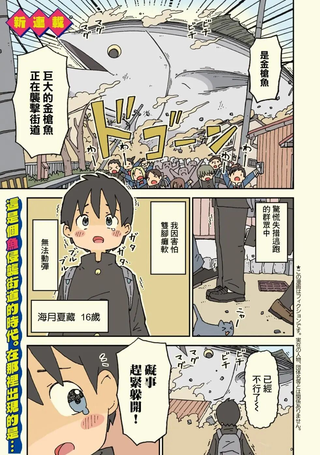 鲨鱼女孩