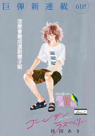 黄金覆盆子