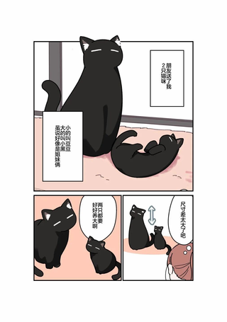 黑猫变成女孩子的故事