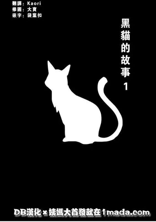 黑猫的故事