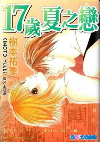 17岁夏之恋