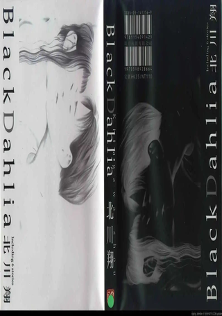 Black Dahlia
