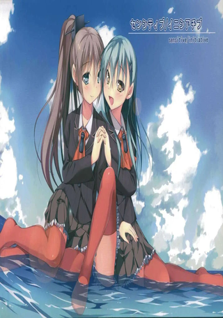 (C86)sensitive／initiative