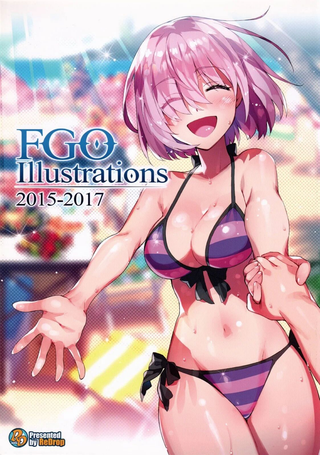 FGO Illustrations系列画集