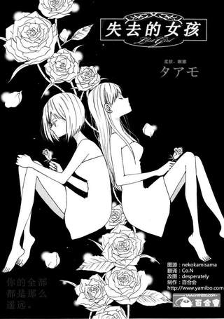 失去的女孩