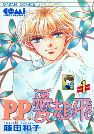 P.P.爱起飞