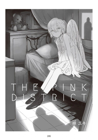THE PINK DISTRICT