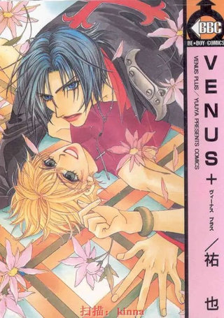 Venus + - ビーボーイコミックス