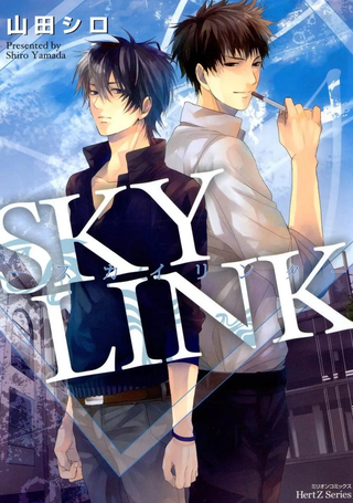 sky link