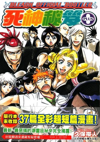 BLEACH OFFICIAL BOOTLEG死神秘笈PLUS