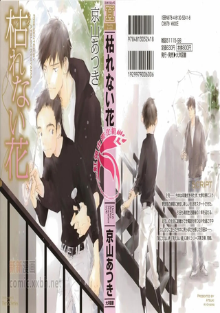 不会枯萎的花