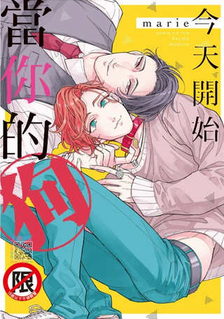 今天开始当你的狗