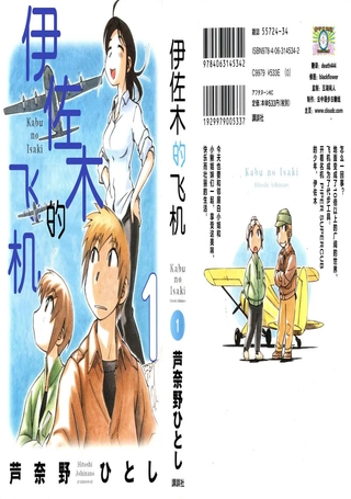 伊佐木的飞机