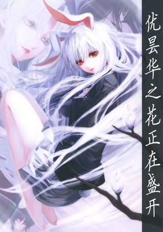 优昙华之花正在盛开