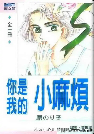 你是我的小麻烦