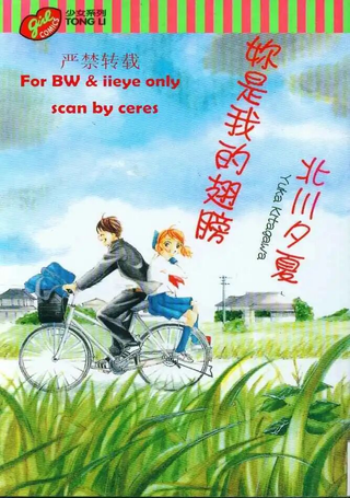 你是我的翅膀