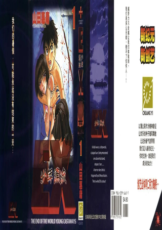 少年漂流