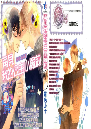 再见我的公主小罗莉