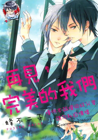 再见，完美的我们