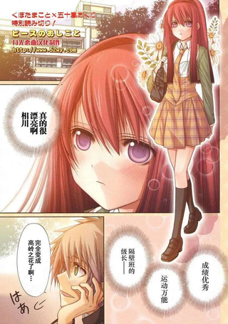 匹斯的工作