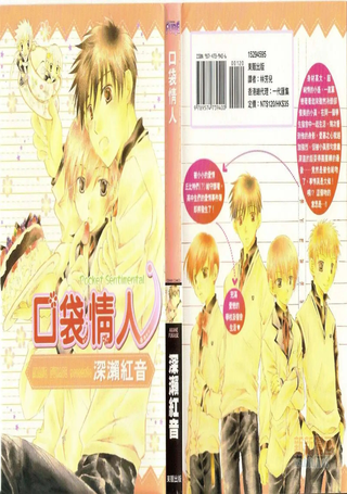 口袋情人