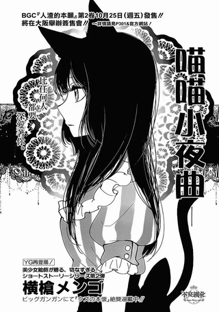 喵喵小夜曲