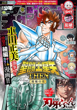 圣斗士星矢 THEN 废墟之花