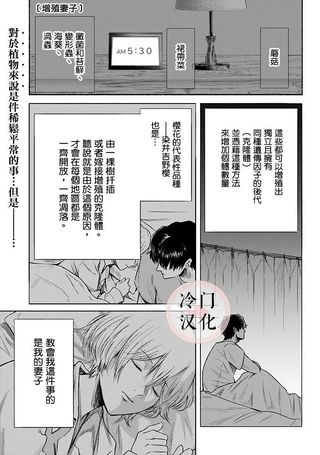 增殖妻子