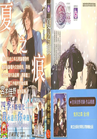 夏之痕