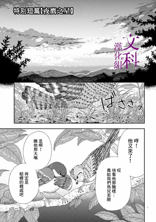 夜鹰之星