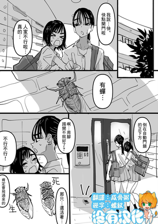 太害怕蝉了我打不开自动锁