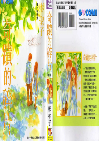奇迹的碎片