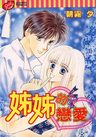 姊姊的恋爱
